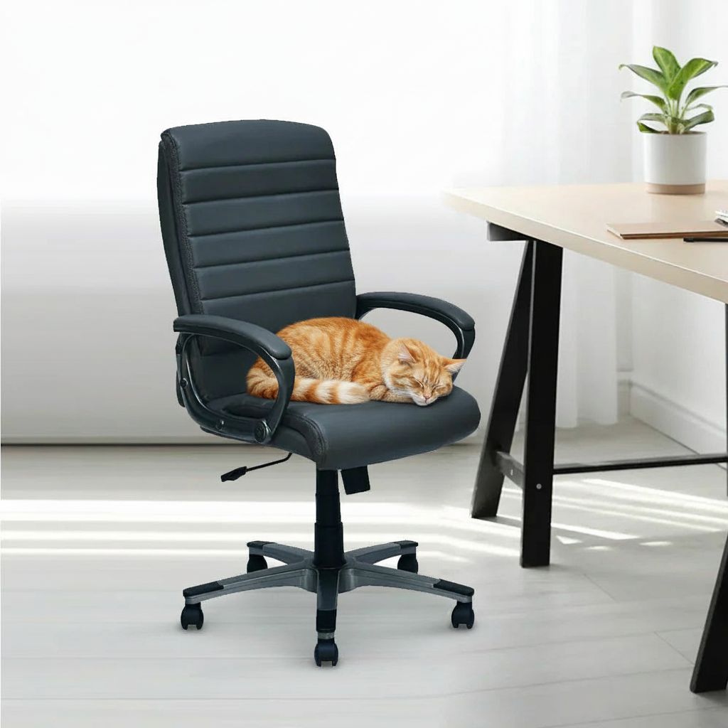 place a cat on top of the chair